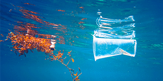 Plastikmüll in den Weltmeeren